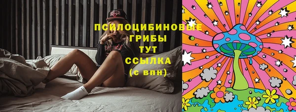 дживик Верхний Тагил