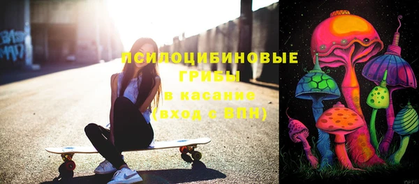 прущая мука Богданович