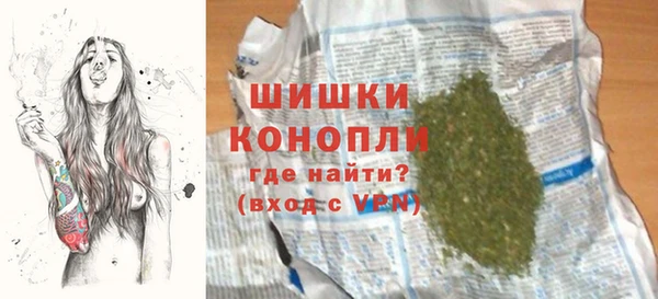 дживик Верхний Тагил