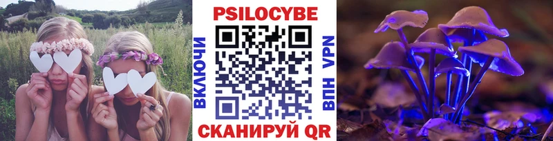 Псилоцибиновые грибы Cubensis  hydra как зайти  Канаш 